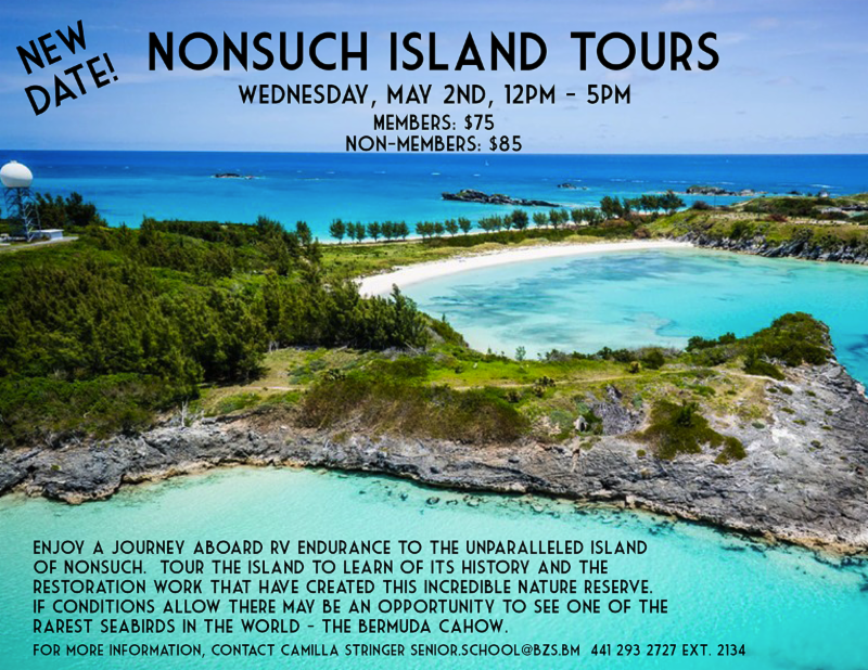 nonsuch island bermuda