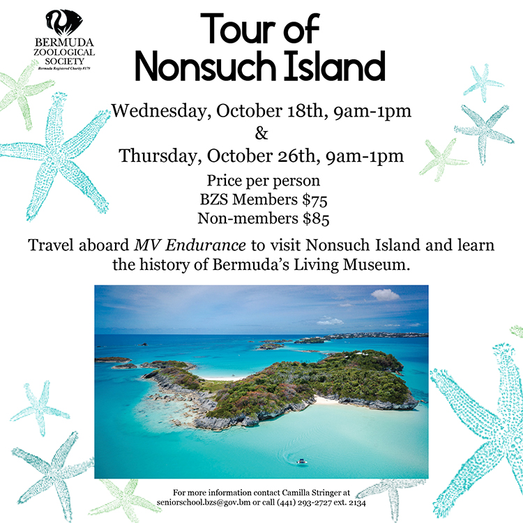 nonsuch island bermuda